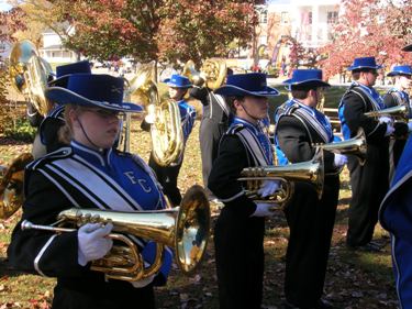 Download Veterans' Day Parade (375Wx281H)